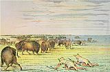 Stalking Buffalo by George Catlin